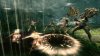 Blades of Time Русская Версия (Xbox 360)