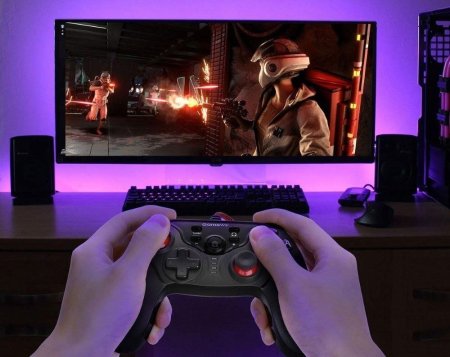 Геймпад проводной Wired Controller GameWill (IX-SW0U2) (Switch)