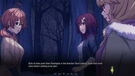 игра Heart of the Woods (Limited Run) (Switch) для Nintendo Switch