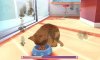 Купить игру Cats and Dogs 3D Pets at play (Nintendo 3DS) на 3DS
