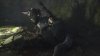 Игра The Last Guardian. Последний хранитель. Collector's Edition Русская Версия (PS4) Playstation 4