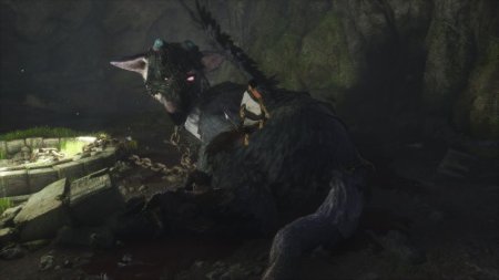 Игра The Last Guardian. Последний хранитель. Collector's Edition Русская Версия (PS4) Playstation 4
