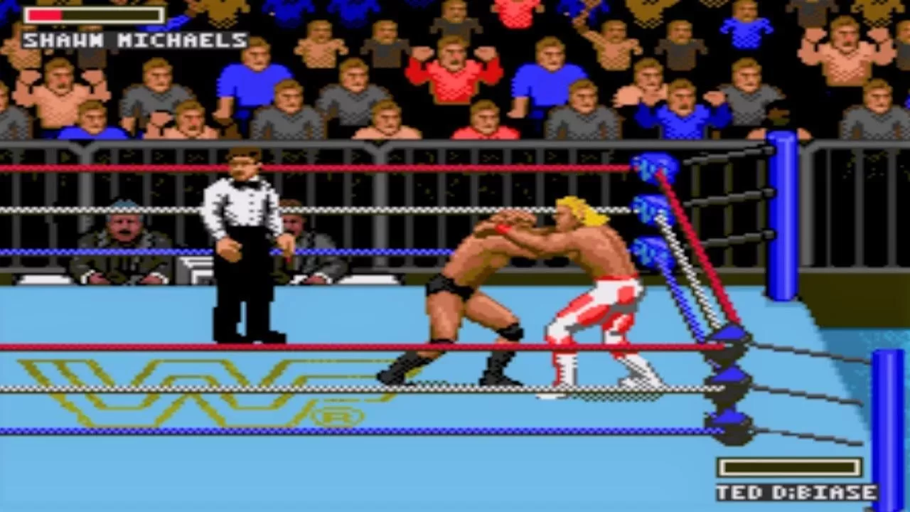 Купить картридж Супер Реслинг Мания (WWF Super Wrestle Mania) Русская  версия (16 bit) для Сеги