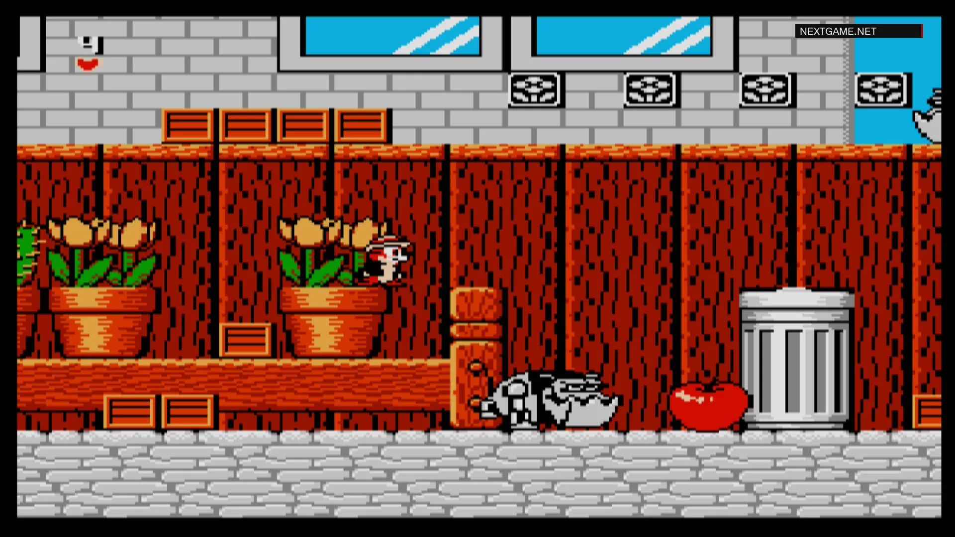 Купить картридж Чип и Дейл (Chip and Dale) Русская Версия (16 bit) для Сеги