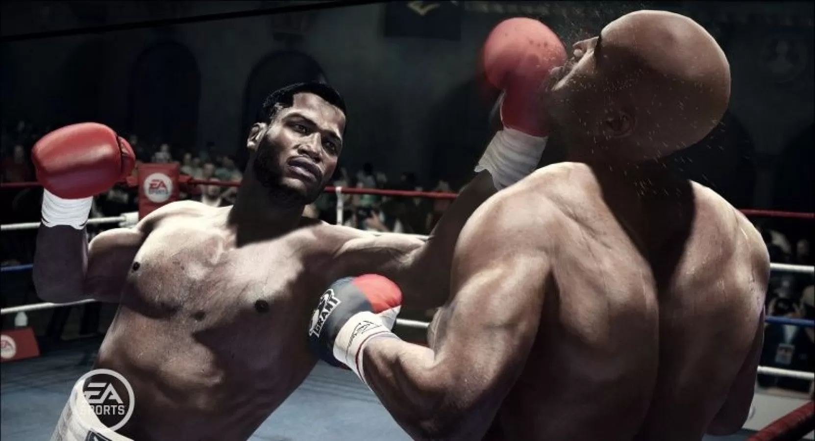 Fight Night Champion (Xbox 360/Xbox One) купить в Москве по цене 4 640 р в  каталоге интернет магазина «NextGame» - характеристики, сравнение,  описание, скидки, доставка