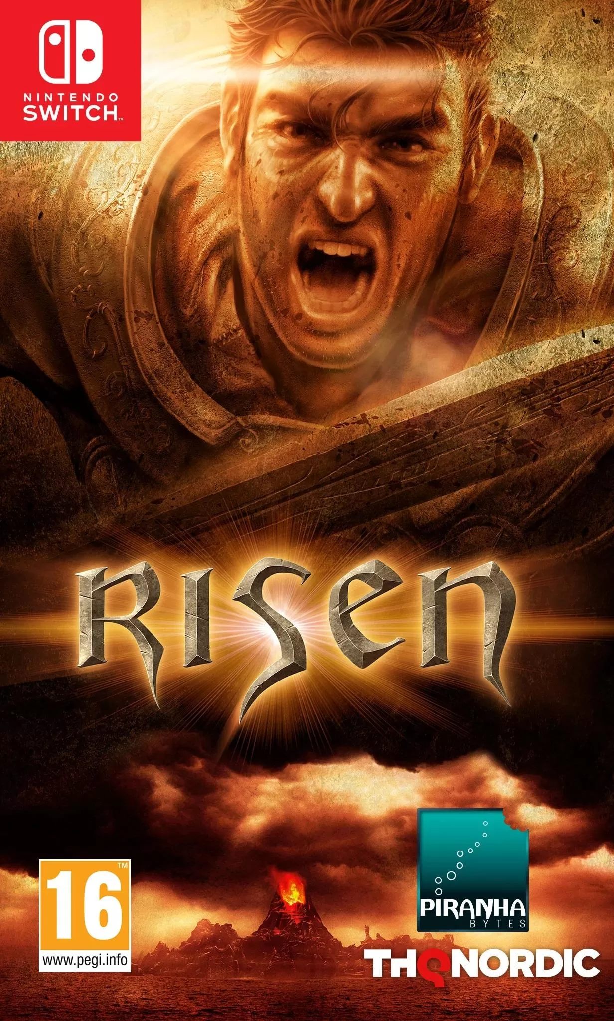 Игра Risen Русская версия (Switch)