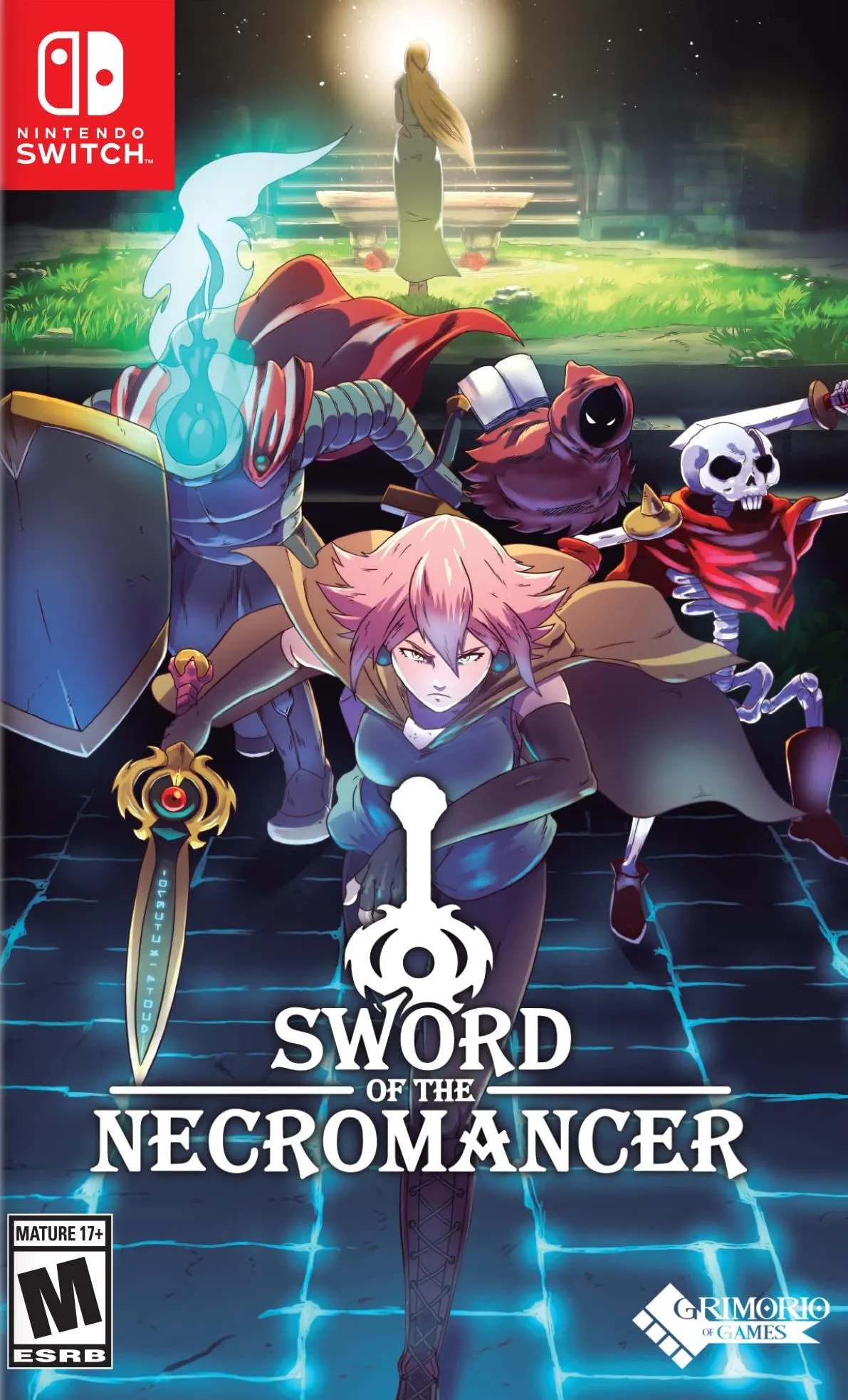 Игра Sword of the Necromancer (Switch)