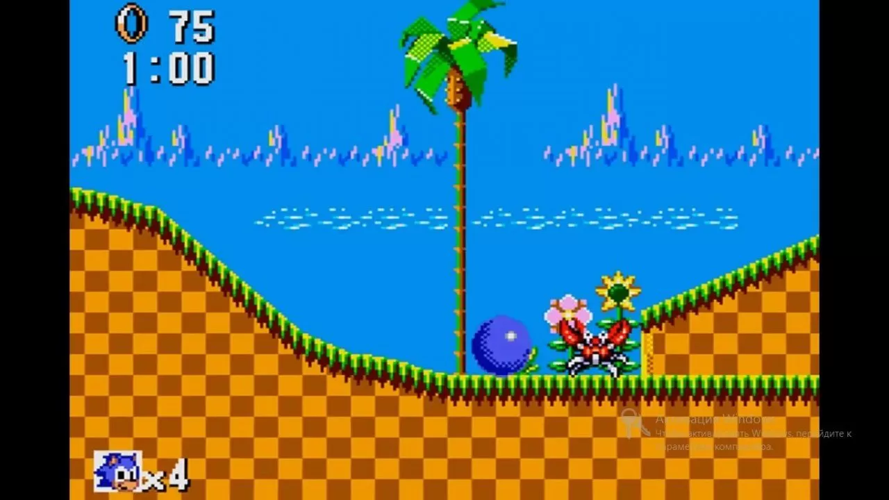 Картридж Соник Ежик (Sonic The Hedgehog) Русская Версия (8 bit) для Денди -  купить в Москве - NextGame