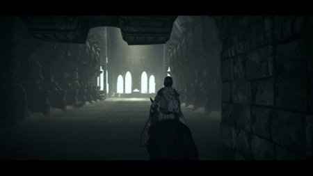  Shadow of the Colossus.      (PS4) Playstation 4